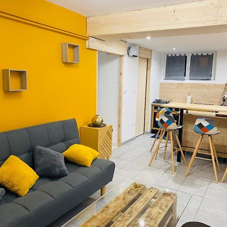 Studio 40M2 Plein Pied Avec Parking Jussac Dış mekan fotoğraf