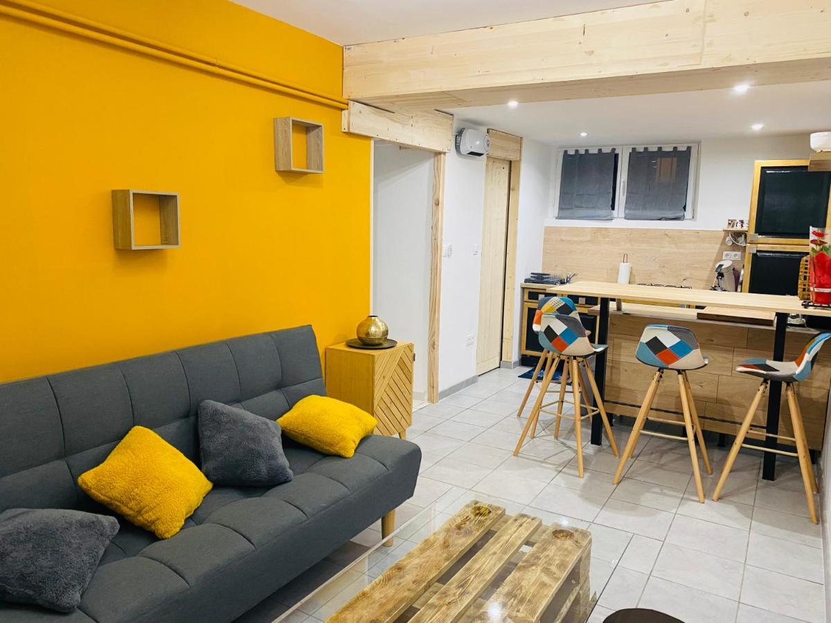 Studio 40M2 Plein Pied Avec Parking Jussac Dış mekan fotoğraf