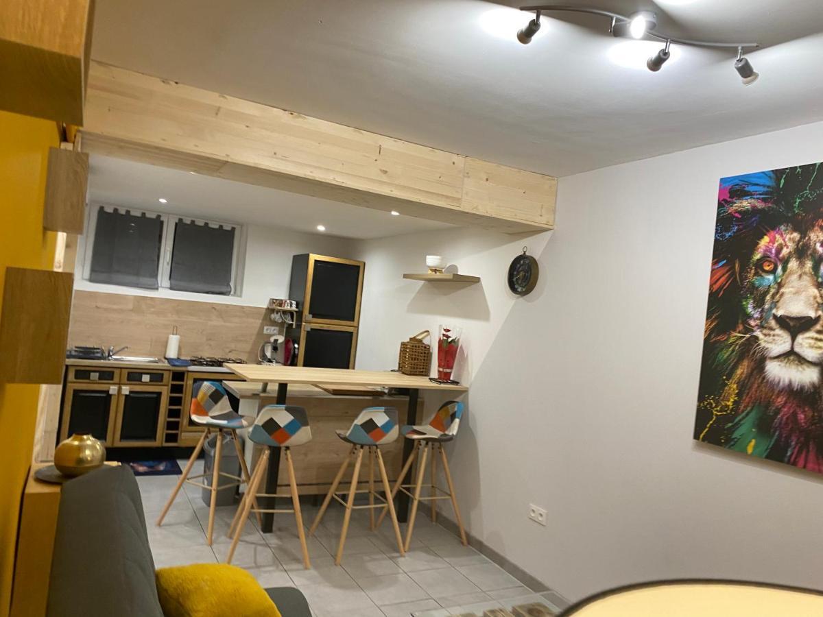Studio 40M2 Plein Pied Avec Parking Jussac Dış mekan fotoğraf