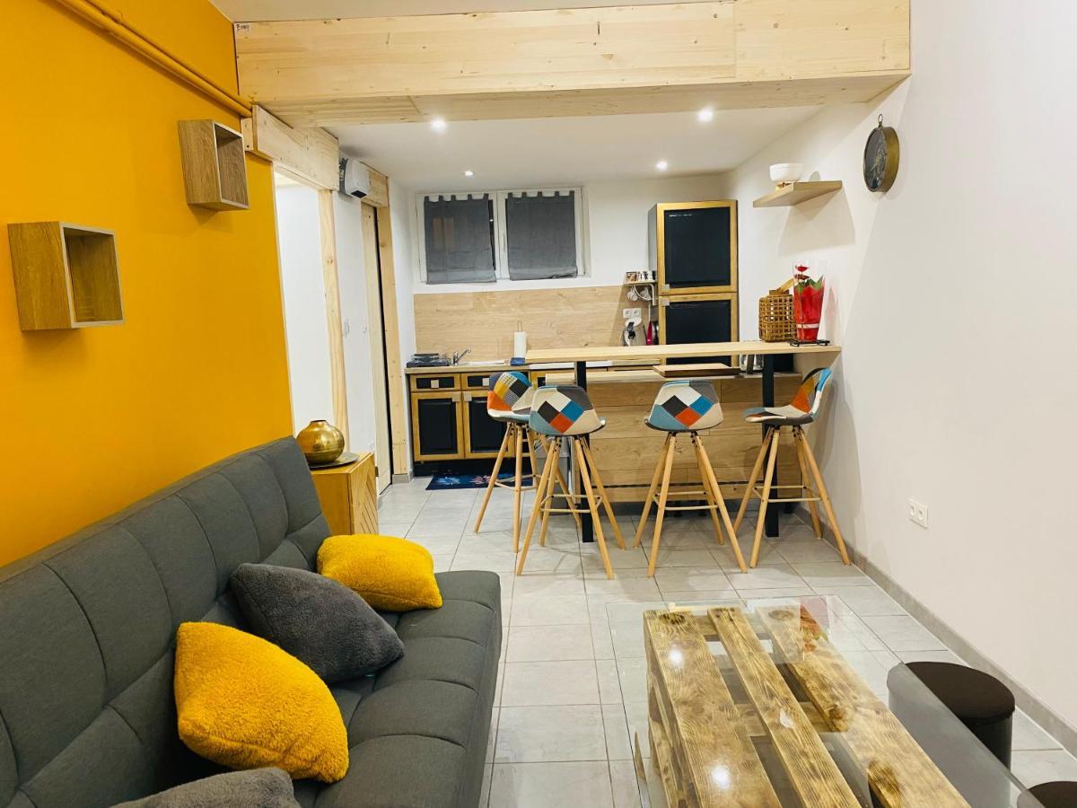 Studio 40M2 Plein Pied Avec Parking Jussac Dış mekan fotoğraf