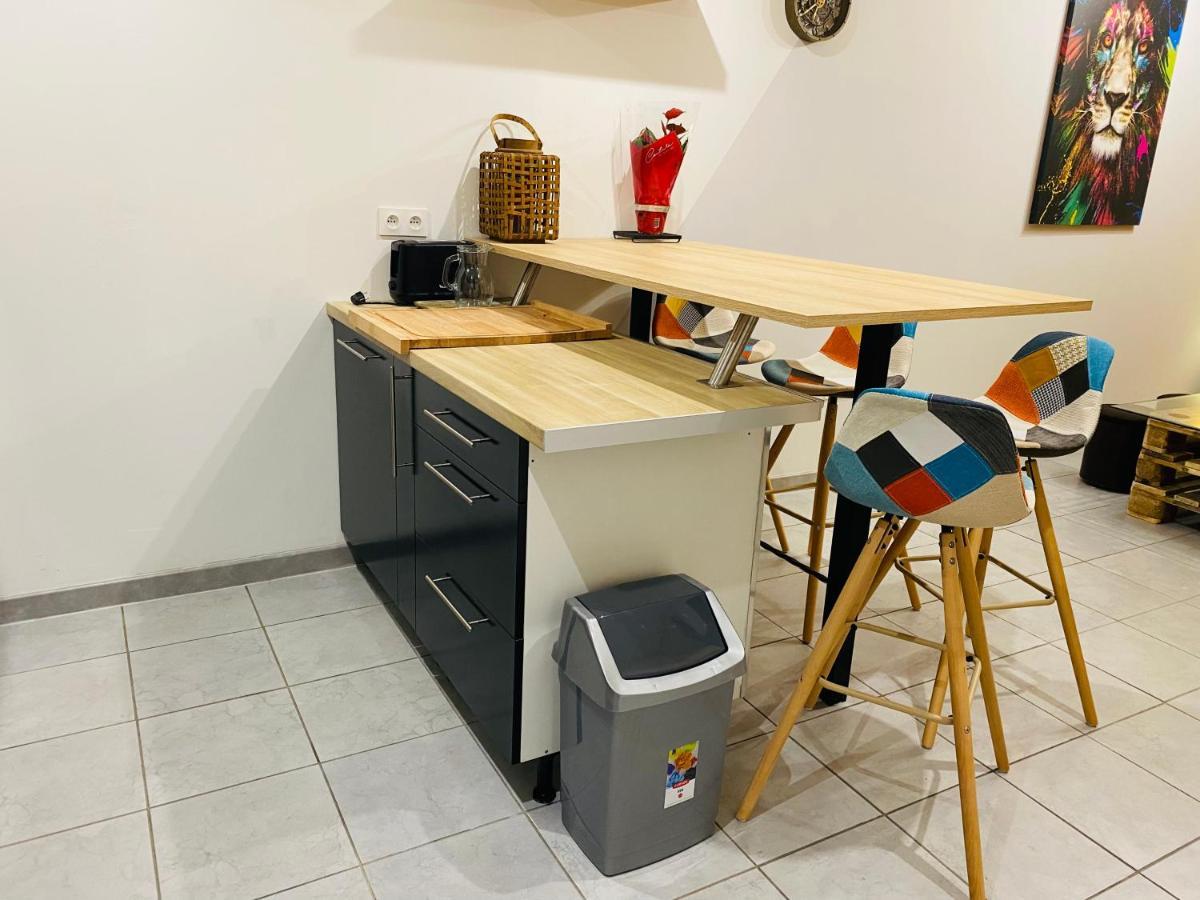 Studio 40M2 Plein Pied Avec Parking Jussac Dış mekan fotoğraf