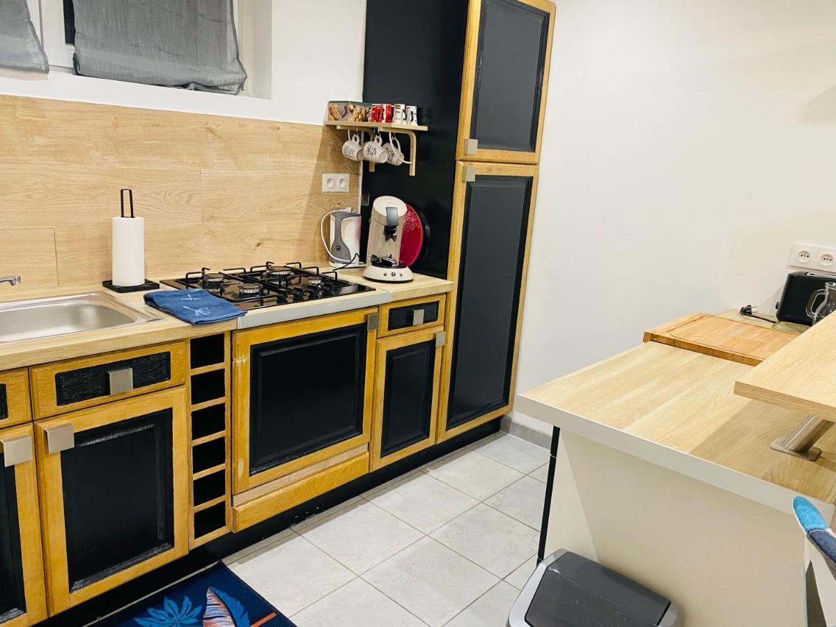 Studio 40M2 Plein Pied Avec Parking Jussac Dış mekan fotoğraf