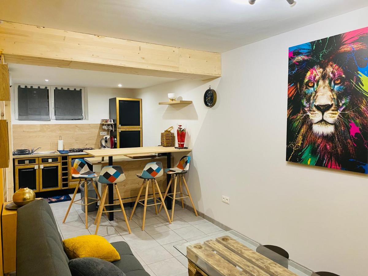 Studio 40M2 Plein Pied Avec Parking Jussac Dış mekan fotoğraf